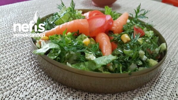 nefis yemek tarifleri