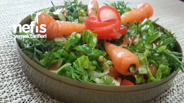 nefis yemek tarifleri