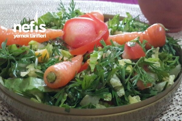 nefis yemek tarifleri