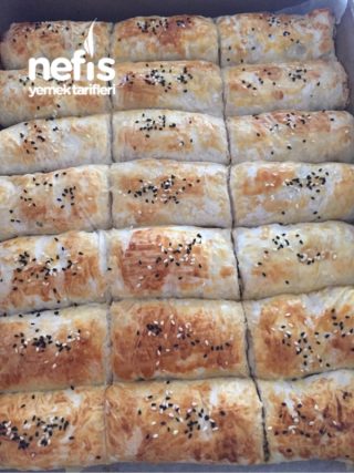 Kıymalı Patatesli Börek