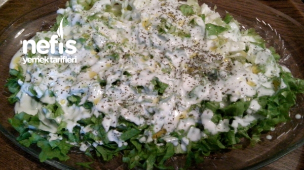Zeytin Yağlı Yoğurtlu Salata