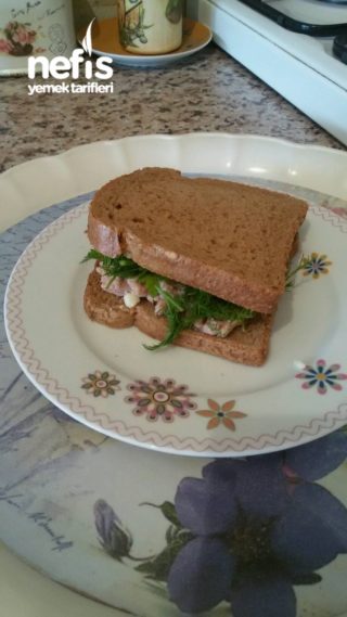 Nefis Diyet Sandviç ( Ve Birkaç Tavsiye )