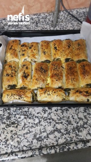 Ispanakli Rulo Börek