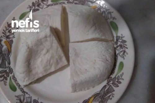 Evde Mayasız Peynir Yapımı ( Çok Kolay ) Tarifi