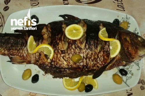 Sazan Balığı Levengisi (Azeri Mutfağı) Tarifi