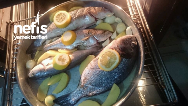 Levrek -çupra – Sarı Kanat Fırında Balık