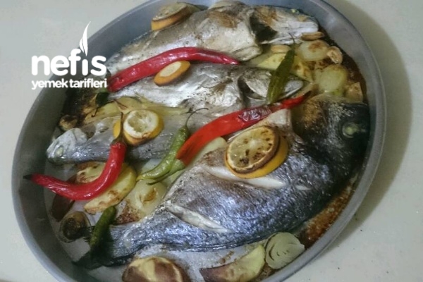 Levrek -Çupra – Sarı Kanat Fırında Balık