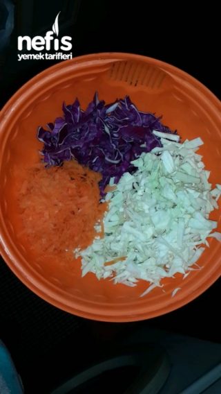 Üç Renkli Kış Salatası