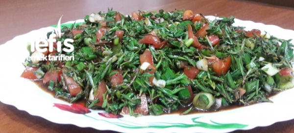 Kekik Salatası