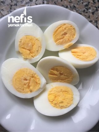 Görseli Muhteşem Yumurta Yatırması