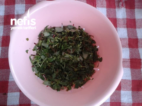 Çitlembik Yapraklı Semizotu Salatası (menengiç )