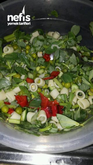 Diyet Öğünüm 1 ( Semizotu Salatası)