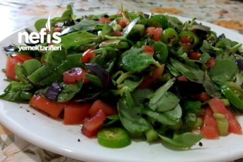 Semizotu (Pimpirin) Salatası Tarifi