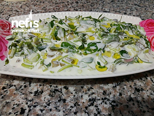 Ferah Semizotu Salatası