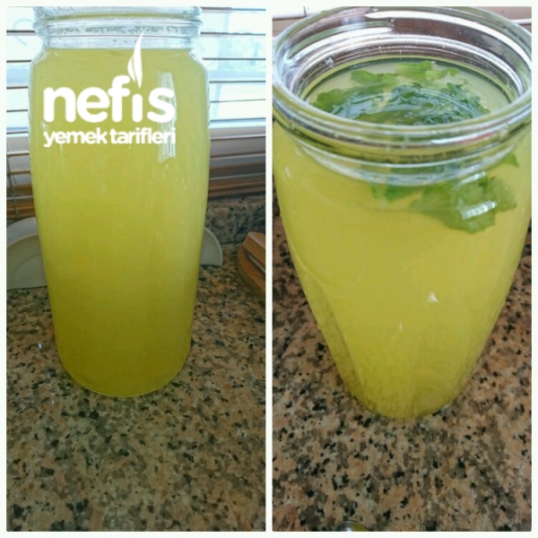 Nefis Ev Limonatası