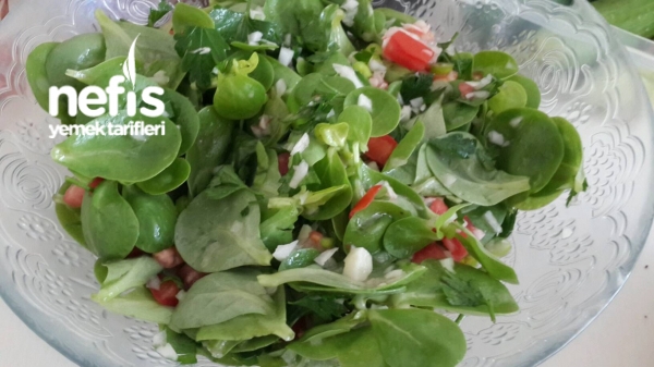 Semizotu Salatası (kahvaltı Veya Akşam Yemeği Yanına Vitamin Deposu, Sağlıklı)