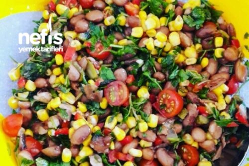 nefis barbunya salatasi