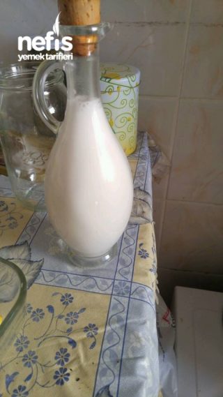 Hindistan Cevizi Sütü