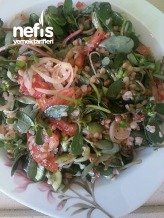 Karabuğdaylı Semizotu Salatası