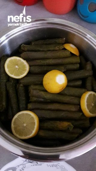 Karışık Dolma