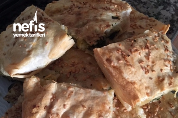 Sodalı Ispanaklı Tepsi Böreği Nefis Yemek Tarifleri