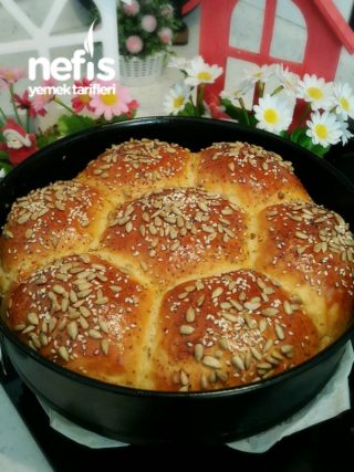 Papatya (çiçek) Ekmek