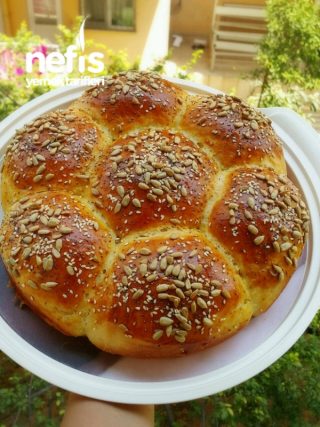 Papatya (çiçek) Ekmek