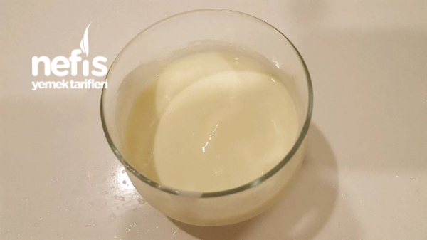 Doğal Probiyotik Yoğurt Yapımı