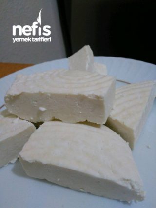 Peynir ( Pratik Ve Doğal )