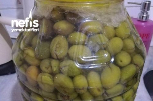 Salamura Yeşil Zeytin Tarifi