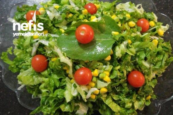 Rokalı Yeşil Salata