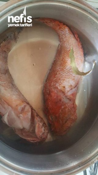 Balık Çorbası