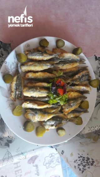 Παντζούγια