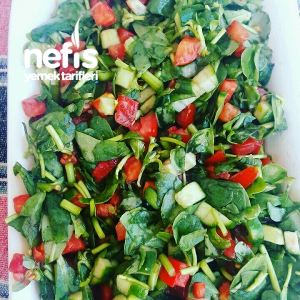 Omega3 Semiz Otu Salatası