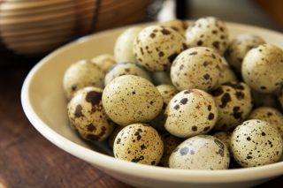 Bıldırcın Yumurtasının Faydaları ve Besin Değerleri: Tam Bir Mucize! Tarifi