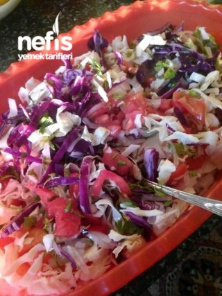 Sağlıklı Renkli Salata