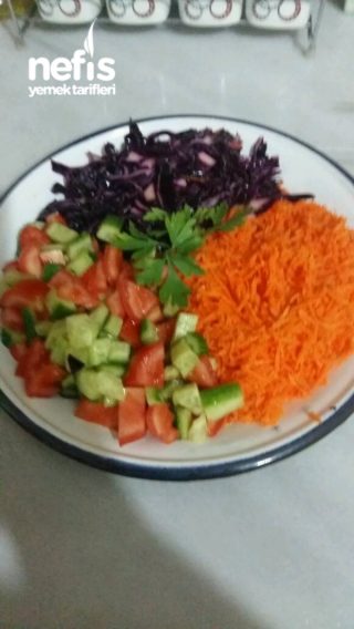 Renkli Salata