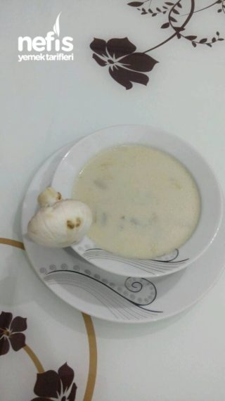 Mantar Çorbası(kremalı)