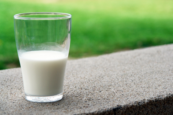 laktozsuz süt nedir