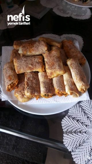 Tavuklu Rulo Çıtır Börek