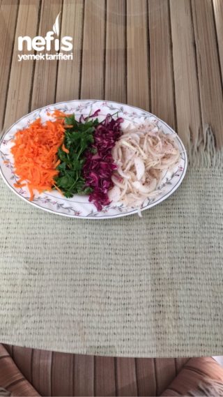 Mevsim Salata