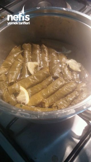 Sarma (zeytinyagli Tam Ölçülü)