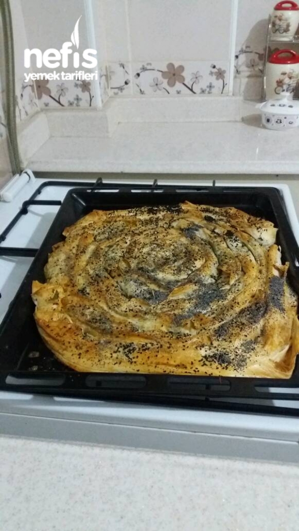 Eşimin Ellerinden Nefis Ispanaklı Börek