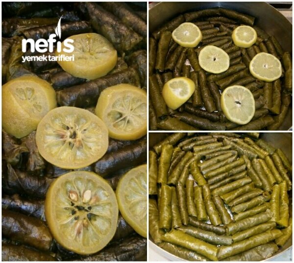Yaprak Sarma - Nefis Yemek Tarifleri - #3979142