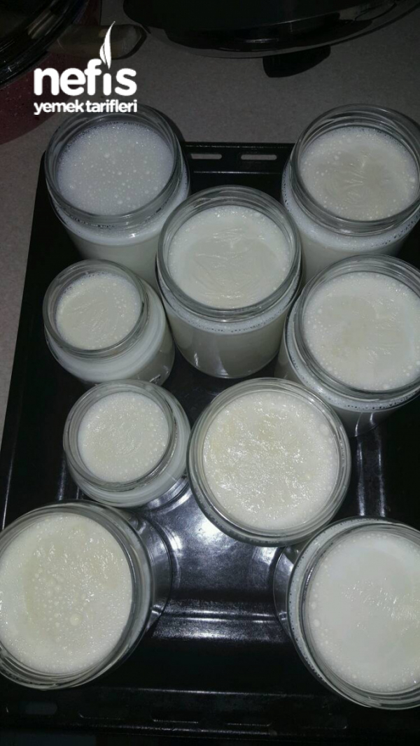 Ev Yapımı Yoğurt Nefis Yemek Tarifleri 4125169