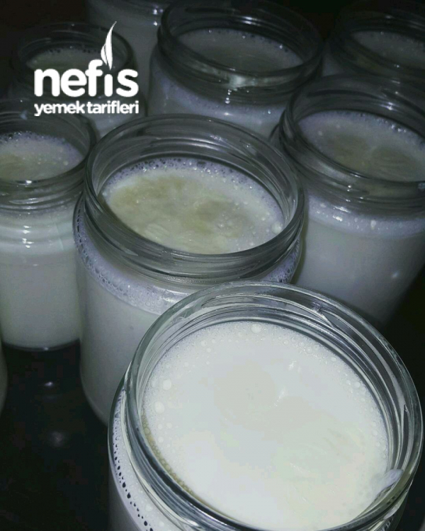 Ev Yapımı Yoğurt Nefis Yemek Tarifleri 4125169