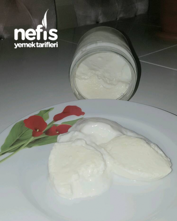 Ev Yapımı Yoğurt Nefis Yemek Tarifleri 4125169