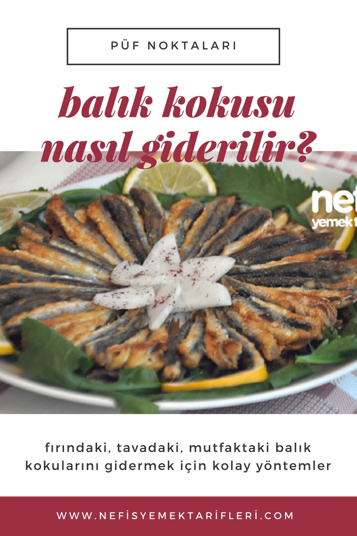 Buzdolabındaki Yemek Kokusu Nasıl Giderilir Buzdolabındaki Yemek Kokusu Nasıl Giderilir