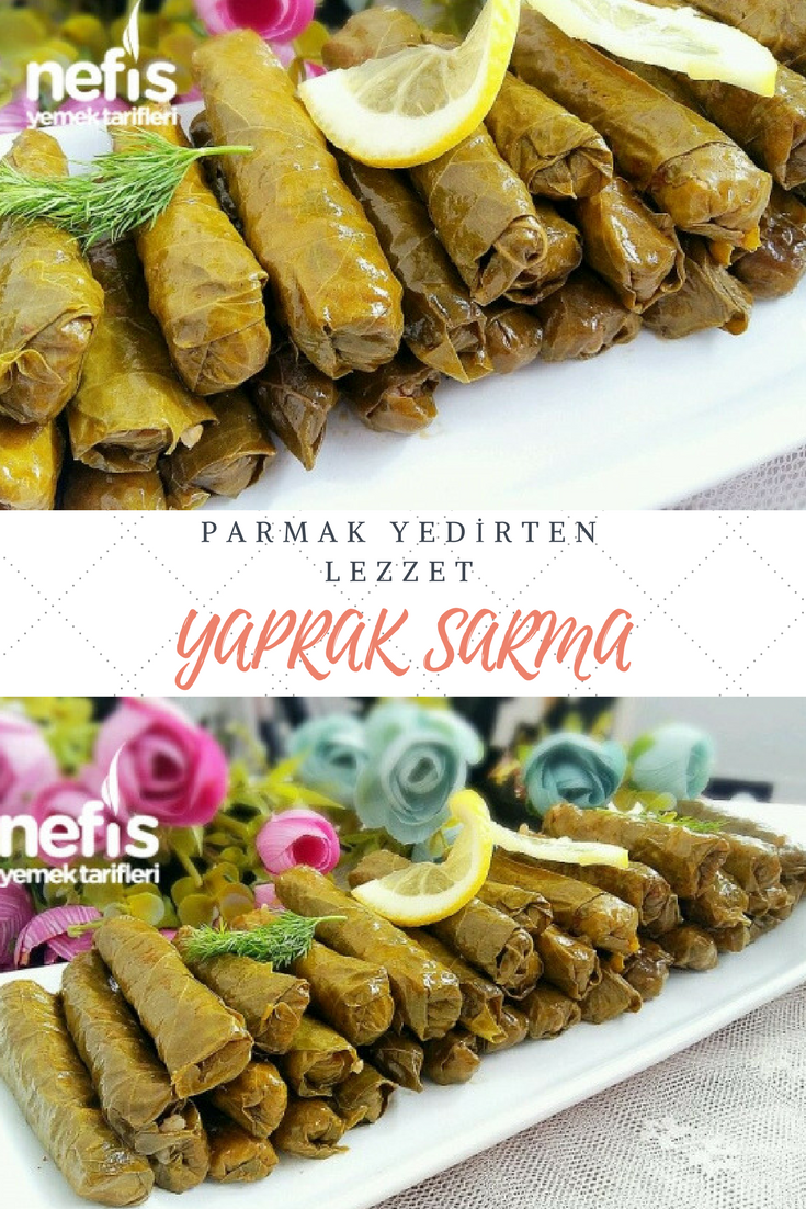 Ege Usulü Yaprak Sarması Tarifi – Zeytinyağlı Tarifler Ege Usulü Yaprak Sarması Tarifi – Zeytinyağlı Tarifler