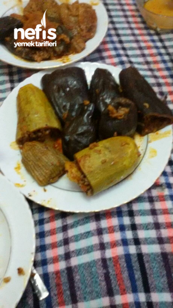 Taze Dolma